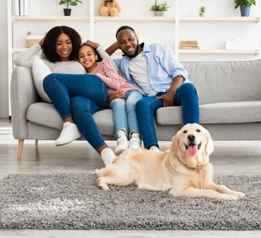 Servizi per Vomito e Urine